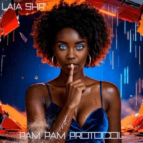 Cover art for Pam-Pam Protocol